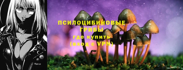 гидра Абинск
